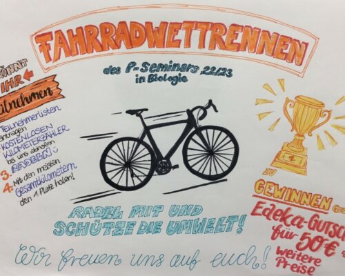 Der Fahrradwettbewerb des P-Seminars Biologie 2021/23
